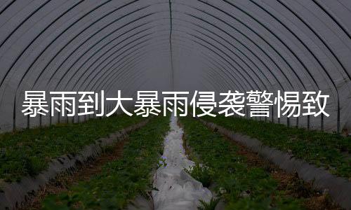 暴雨到大暴雨侵袭警惕致灾！22日白天起雨势减弱